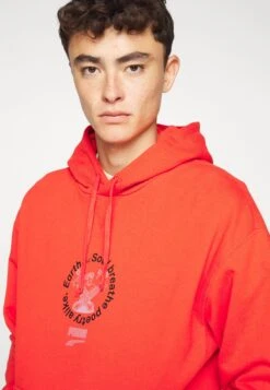 Puma Hoodie - Burnt Red -Stock X ce5b6df564854709be421969ae5d3f36