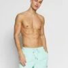 Quiksilver Everyday Volley 15 - Swimming Shorts - Beach Glass