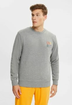 ESPRIT Mit Bunter Logostickerei - Sweatshirt - Medium Grey